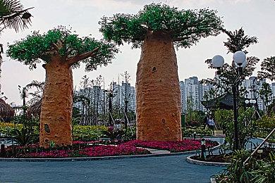 养成游戏《火山的女儿》公开首部宣传片 10月上线试玩版